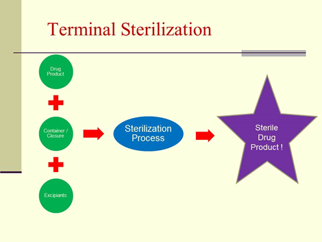 Terminal Sterilization